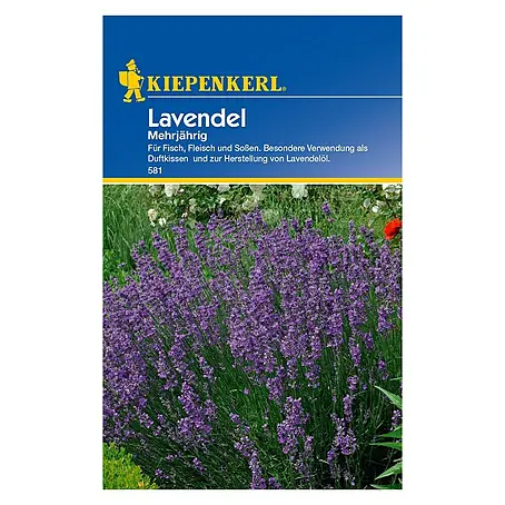 Kiepenkerl  Blumensamen Lavendel
