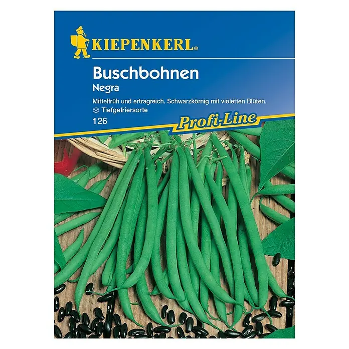Kiepenkerl Profi-Line Gemüsesamen Buschbohne - Negra, Phaseolus vulgaris var. nanus, Erntezeit: Juli - Samenpackung Buschbohnen 'Negra' von Kiepenkerl: mittelfrühe, ertragreiche Sorte mit schwarzen Körnern und violetten Blüten.