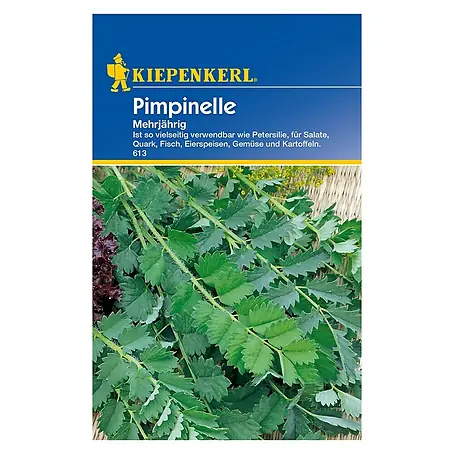 Kiepenkerl  Blumensamen Pimpinelle