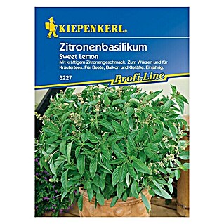 Kiepenkerl Profi-Line Kräutersamen Zitronenbasilikum (Ocimum americanum, Saatzeit: Mai, Erntezeit: Juli)