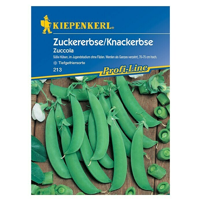 Kiepenkerl Profi-Line Gemüsesamen ZuckererbseZuccola, Pisum sativum, Erntezeit: Juni - September Front View