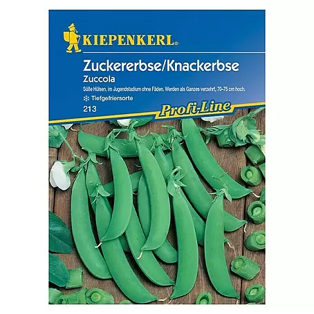 Kiepenkerl Profi-Line Gemüsesamen Zuckererbse