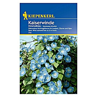 Kiepenkerl Blumensamen Kaiserwinde (Ipomoea tricolor, Blau)