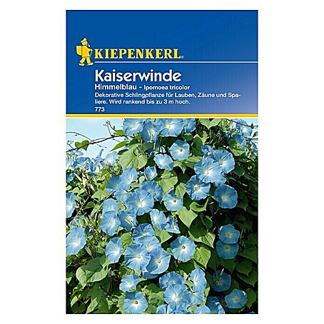 Kiepenkerl Blumensamen Kaiserwinde (Ipomoea tricolor, Blau)