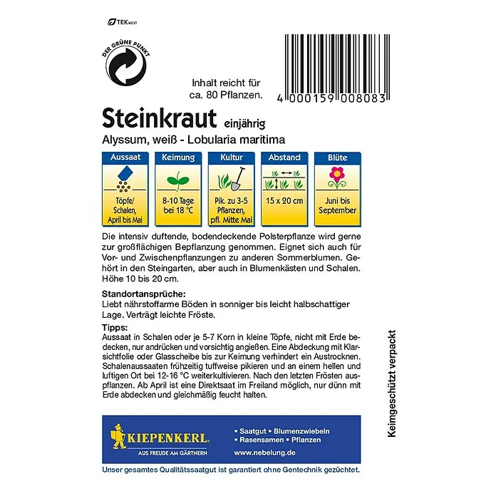 Kiepenkerl Blumensamen Steinkraut - Lobularia maritima, Weiß, Blütezeit: Juni - Samenpackung Steinkraut einjährig. Aussaat April bis Mai, Blütezeit Juni bis September. Inhalt reicht für ca. 80 Pflanzen.