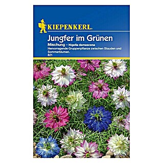 Kiepenkerl Blumensamen Jungfer im Grünen (Nigella damascena, Mischung, Blütezeit: Juni)