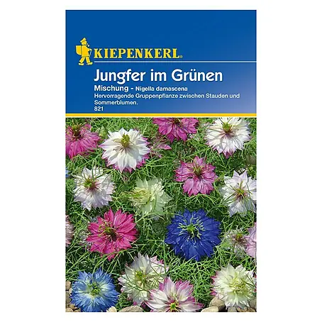 Kiepenkerl  Blumensamen Jungfer im Grünen