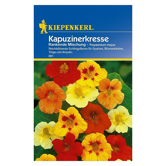 Kiepenkerl Kräutersamen Kapuzinerkresse - Tropaeolum majus, Saatzeit: April - Samenpackung Kapuzinerkresse von Kiepenkerl. Rankende Mischung mit farbenfrohen Blüten für Garten und Balkon.