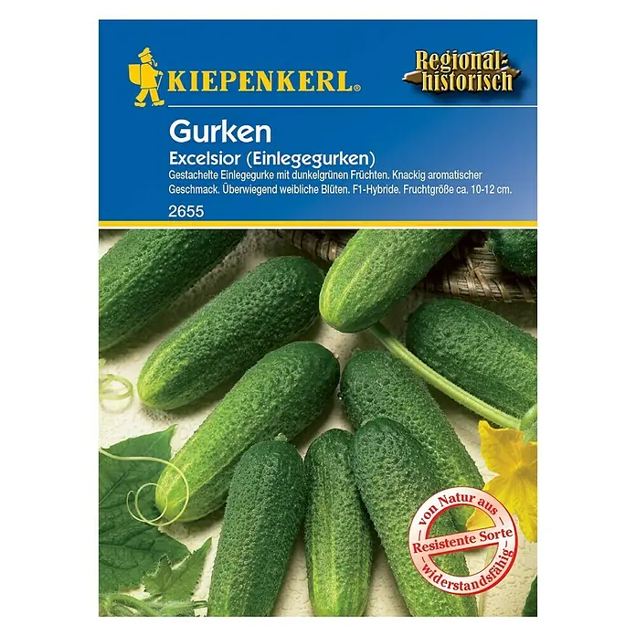 Kiepenkerl Gemüsesamen Einlegegurke - Excelsior, Cucumis sativus, Erntezeit: Juli - Abbildung einer Saatguttüte "Gurken Excelsior" der Marke Kiepenkerl, eine stachelige Einlegegurke mit aromatischem Geschmack und widerstandsfähiger Sorte.