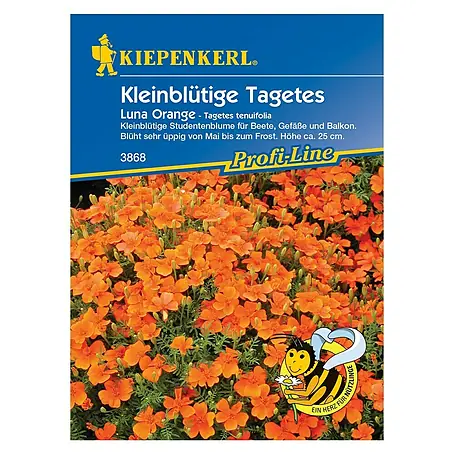 Kiepenkerl Profi-Line Blumensamen Studentenblume