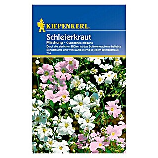 Kiepenkerl Blumensamen Schleierkraut (Gypsophila elegans, Mehrfarbig)