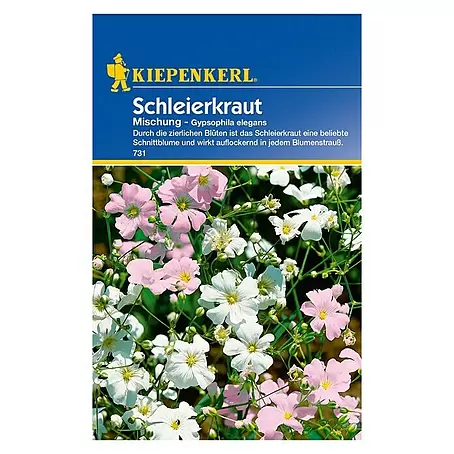 Kiepenkerl  Blumensamen Schleierkraut