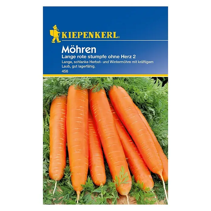 Kiepenkerl Gemüsesamen Möhre - Lange rote stumpfe ohne Herz 2, Daucus carota ssp. sativus, Erntezeit: September - Das Bild zeigt eine Packung Möhren-Saatgut der Marke Kiepenkerl, Sorte "Lange rote stumpfe ohne Herz 2". Lange, orangefarbene Karotten sind abgebildet.