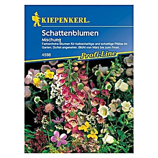 Kiepenkerl Profi-Line Blumensamen Schattenblumen (Verschiedene Sorten, Mehrfarbig, 3 m² - 4 m²)