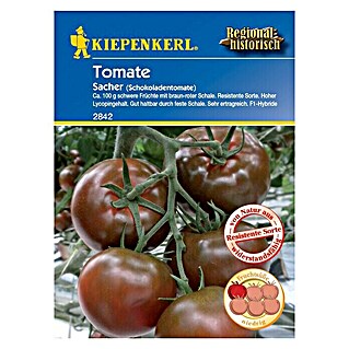 Kiepenkerl Gemüsesamen Tomate (Sacher F1, Solanum lycopersicum, Erntezeit: Juli)