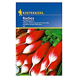 Kiepenkerl Gemüsesamen Radieschen (Flamboyant 2, Raphanus sativus var. sativus, Erntezeit: April)