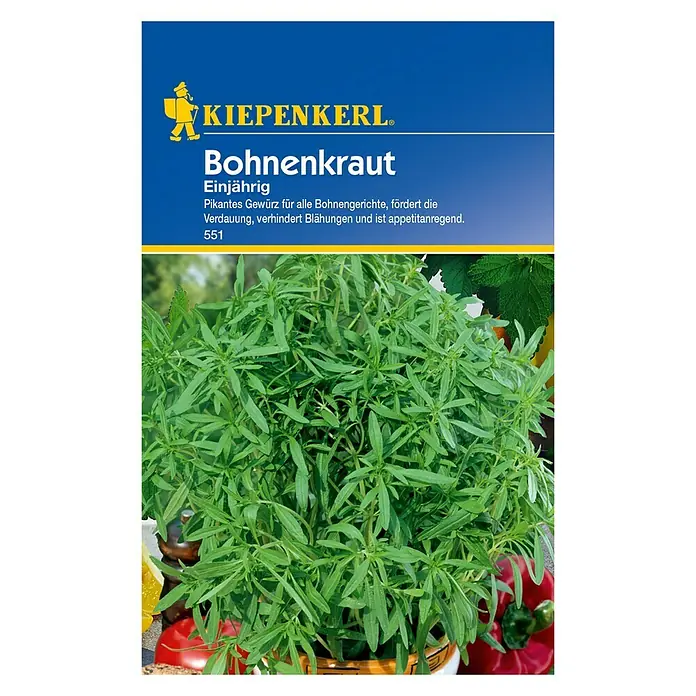 Kiepenkerl Kräutersamen Bohnenkraut einjährig - Satureja hortensis, Saatzeit: April, Erntezeit: Juni - Abbildung der Kiepenkerl Bohnenkraut-Saatpackung. Das Bild zeigt frisches grünes Bohnenkraut, eine einjährige Gewürzpflanze für Bohnengerichte.