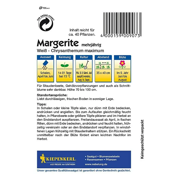 Kiepenkerl Blumensamen Margerite - Chrysanthemum maximum, Weiß - Packung mit Margerite 'Chrysanthemum maximum' Samen, mehrjährig, für ca. 40 Pflanzen. Aussaat, Keimung, Kultur, Abstand und Blütezeit sind angegeben.