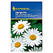 Kiepenkerl Blumensamen Margerite (Chrysanthemum maximum, Weiß) | BAUHAUS