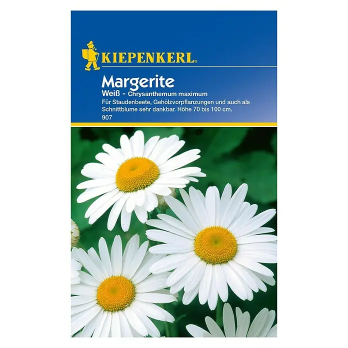 Kiepenkerl Blumensamen Margerite - Chrysanthemum maximum, Weiß - Bild einer Margeriten-Samenpackung von Kiepenkerl. Die Packung zeigt strahlend weiße Margeritenblüten mit gelben Blütenkörben.