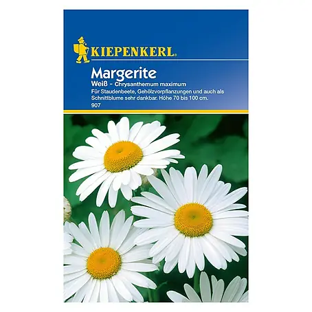 Kiepenkerl  Blumensamen Margerite