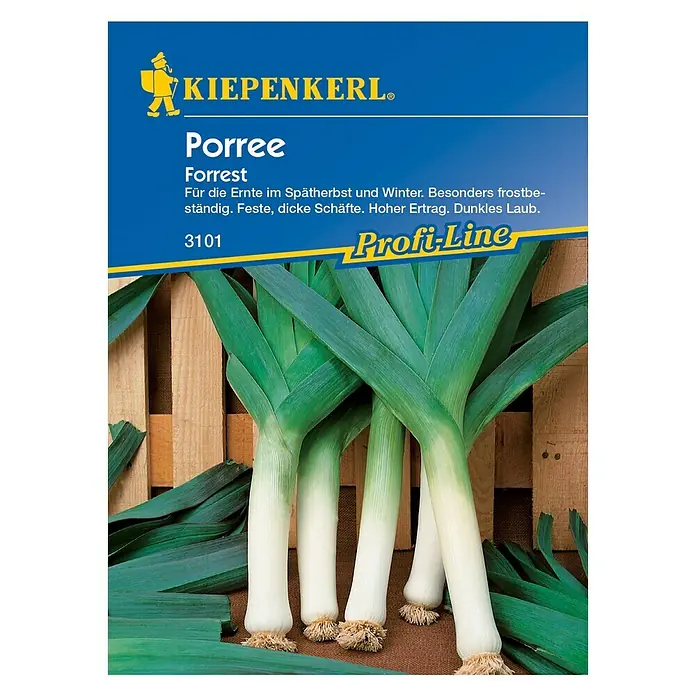 Kiepenkerl Profi-Line Gemüsesamen Porree - Forrest, Allium porrum, Erntezeit: November - Produktbild von Kiepenkerl Porree 'Forrest'. Winterharte Sorte mit festen, dicken Schäften und hohem Ertrag. Dunkles Laub.