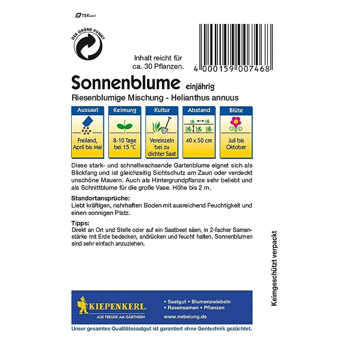 Kiepenkerl Blumensamen Sonnenblume - Riesenblumige Mischung, Helianthus annuus, Mehrfarbig - Abbildung einer Sonnenblumen-Samenpackung von Kiepenkerl. Die Packung zeigt Informationen zu Aussaat, Keimung, Kultur, Abstand und Blütezeit.