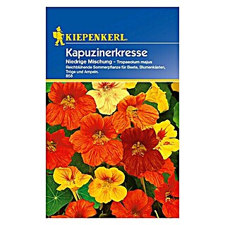 Kiepenkerl Kräutersamen Kapuzinerkresse niedrig (Tropaeolum majus, Saatzeit: April)