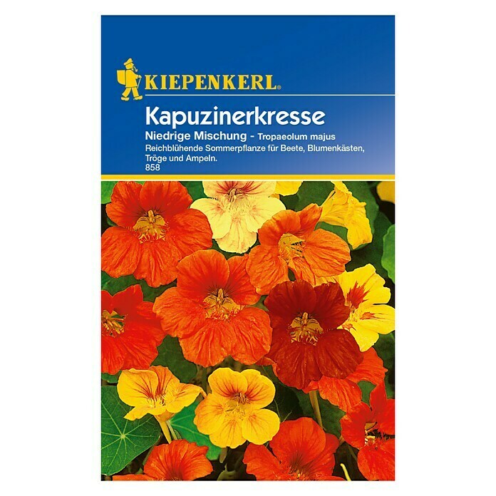 Kiepenkerl Kräutersamen Kapuzinerkresse niedrigTropaeolum majus, Saatzeit: April - Mai Front View