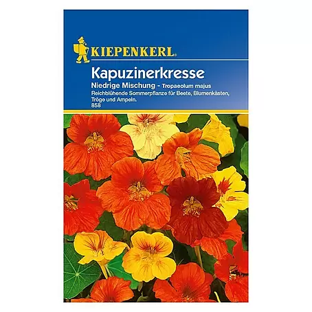 Kiepenkerl  Kräutersamen Kapuzinerkresse niedrig