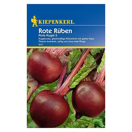 Kiepenkerl  Gemüsesamen Rote Rübe Rote Kugel 2
