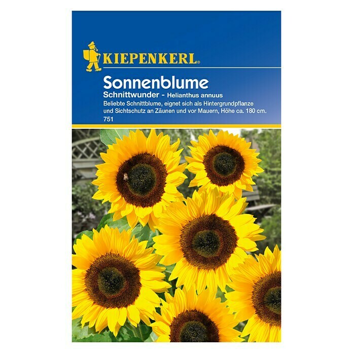 Kiepenkerl Blumensamen SonnenblumeSchnittwunder, Helianthus annuus, Gelb Front View