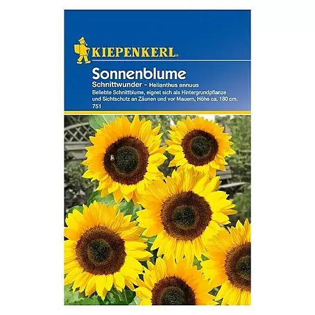 Kiepenkerl  Blumensamen Sonnenblume