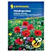 Kiepenkerl Blumensamenmischung Nützlingswiese 