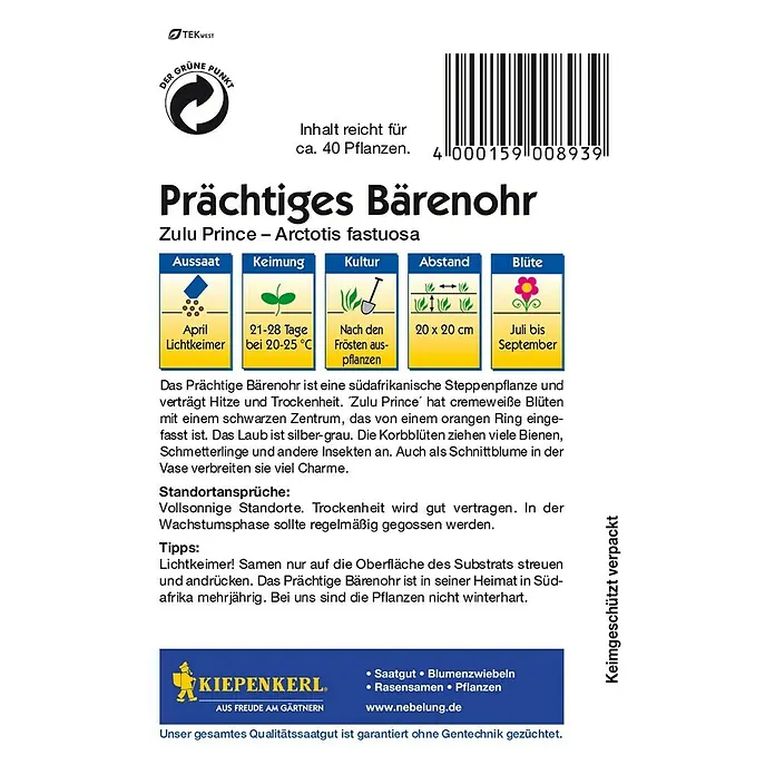 Kiepenkerl Blumensamen Bärenohr - Arctotis fastuosa, Weiß - Samentüte mit Informationen zum Anbau von 'Prächtiges Bärenohr' (Zulu Prince), einer pflegeleichten, südafrikanischen Steppenpflanze.