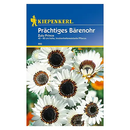 Kiepenkerl  Blumensamen Bärenohr