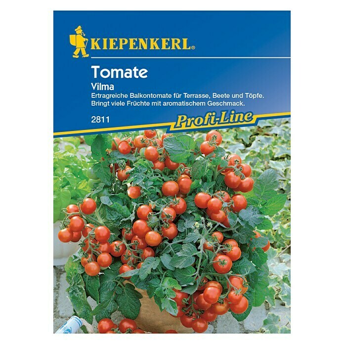 Kiepenkerl Profi-Line Gemüsesamen TomateVilma, Solanum lycopersicum, Erntezeit: Juli - Oktober Front View