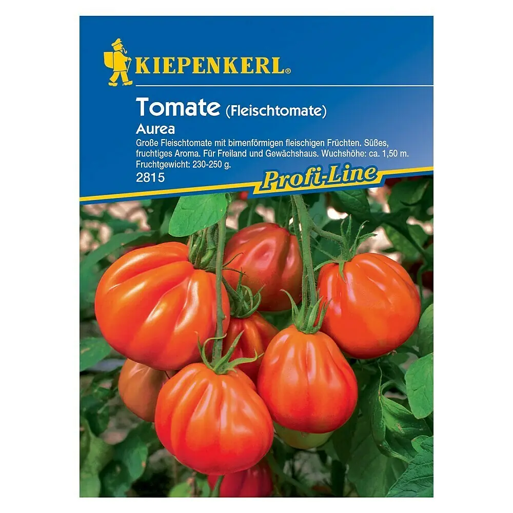 Kiepenkerl Cherrytomate Dona F1 – Samen Für Kompakte, Resistente Tomatenpflanzen