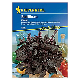 Kiepenkerl Profi-Line Kräutersamen Basilikum (Chianti, Ocimum basilicum, Saatzeit: April, Erntezeit: Juli)