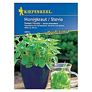 Kräutersamen Honigkraut (Stevia rebaudiana)
