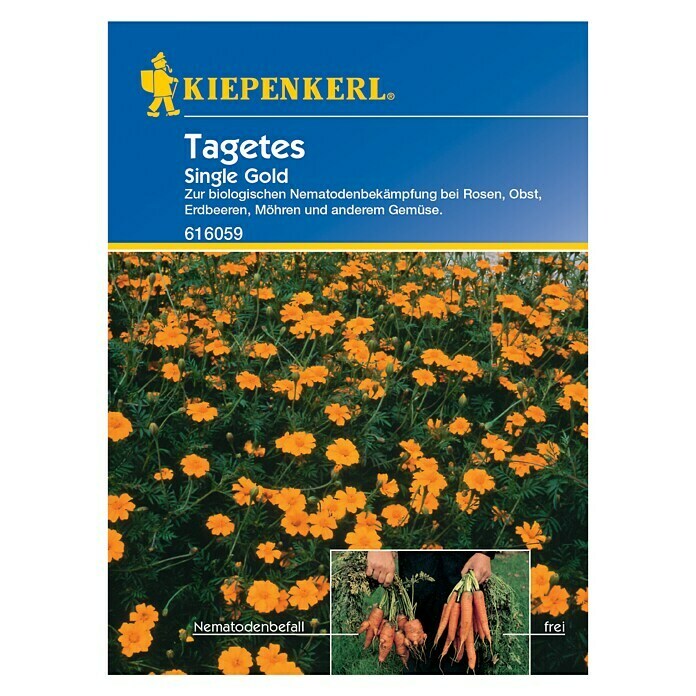 Kiepenkerl GründüngungTagetes (Nematodenbekämpfung), Tagetes patula, 5 m² - 7 m² Front View