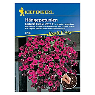 Kiepenkerl Profi-Line Blumensamen Hängepetunie (Petunia x atkinsiana, Pink)