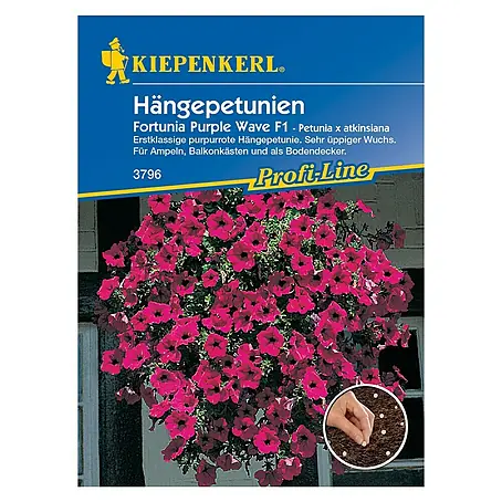 Kiepenkerl Profi-Line Blumensamen Hängepetunie Purple Wave