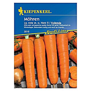 Kiepenkerl Profi-Line Gemüsesamen Möhre (Lange rote Stumpfe ohne Herz, Daucus carota ssp. sativus, Erntezeit: August)