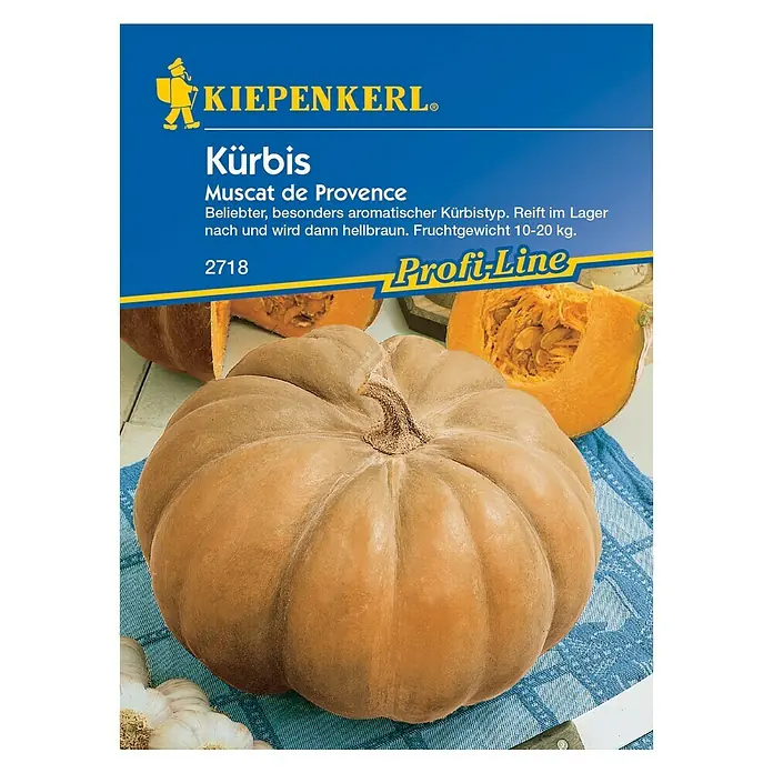 Kiepenkerl Profi-Line Gemüsesamen Kürbis - Muscat de Provence, Cucurbita maxima, Erntezeit: September - Sämereien für Kürbis 'Muscat de Provence' von Kiepenkerl. Beliebte Sorte, die im Lager nachreift und hellbraun wird. Fruchtgewicht 10–20 kg.