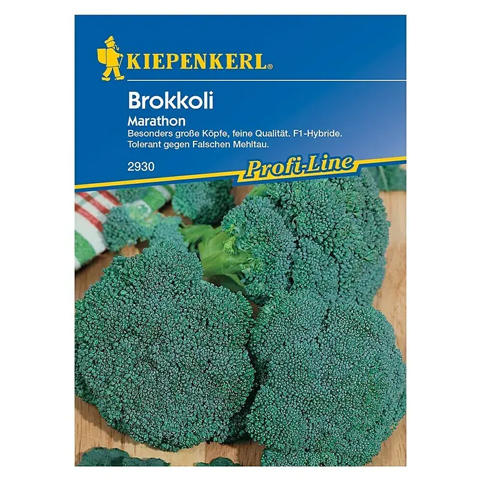 Kiepenkerl Profi-Line Gemüsesamen Brokkoli Marathon - Brassica oleracea var. italica, Erntezeit: Juli - Abbildung der "Marathon"-Brokkolisamenpackung von Kiepenkerl mit großen, hochwertigen Brokkoliköpfen, die gegen Falschen Mehltau resistent sind.