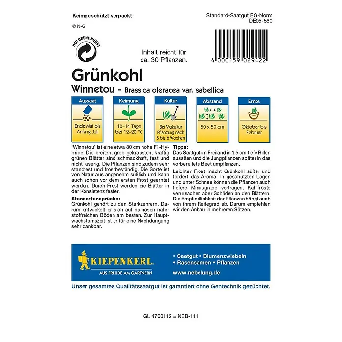 Kiepenkerl Profi-Line Gemüsesamen Grünkohl Winnetou - Brassica oleracea var. sabellica, Erntezeit: Oktober - Produktabbildung: Grünkohl Winnetou Saatgutpackung. Informationen zu Aussaat, Keimung, Kultur, Abstand und Ernte des Grünkohls.