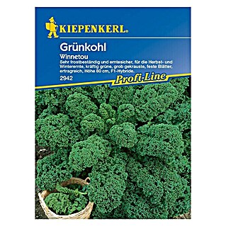 Kiepenkerl Profi-Line Gemüsesamen Grünkohl Winnetou (Brassica oleracea var. sabellica, Erntezeit: Oktober)
