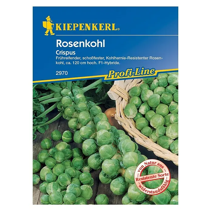 Kiepenkerl Profi-Line Gemüsesamen Rosenkohl Crispus - Brassica oleracea var. gemmifera, Erntezeit: September - Samentüte Rosenkohl 'Crispus' von Kiepenkerl. Frühreifende Sorte, resistent gegen Kohlhernie, bis ca. 120 cm hoch, F1-Hybride.