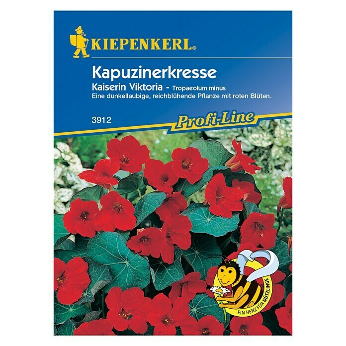 Kräutersamen KapuzinerkresseTropaeolum minus, Saatzeit: April - Mai Front View